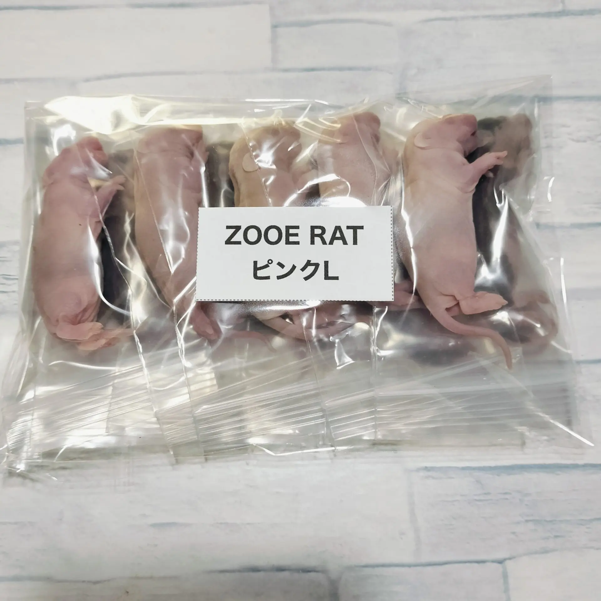 冷凍ラット　34匹　80-100gサイズ ボールパイソンの冷凍ラットのサイズ一覧 - ZOOE